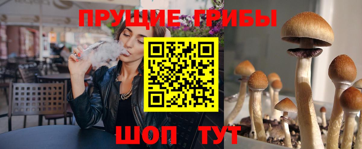 Сосновый Бор  Псилоцибиновые грибы мицелий  Вход с VPN 